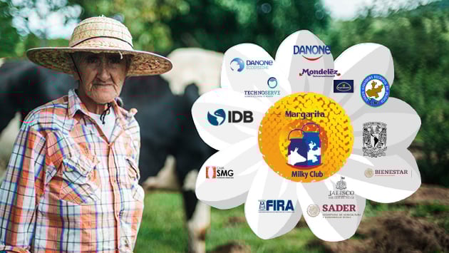 Danone Proyecto Margarita